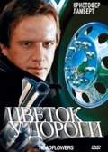 Цветок у дороги (1993) постер