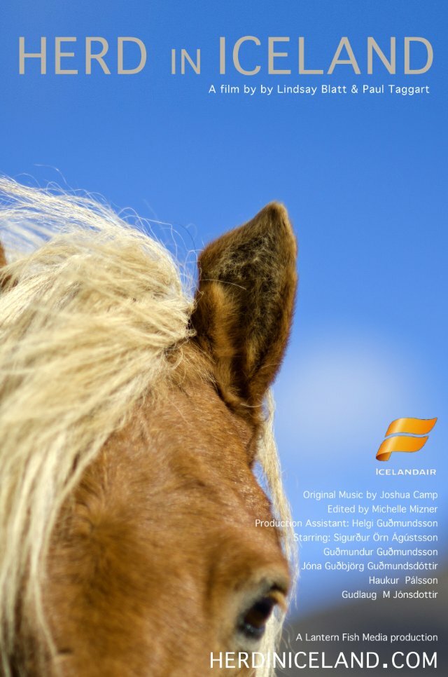 Herd in Iceland (2013) постер