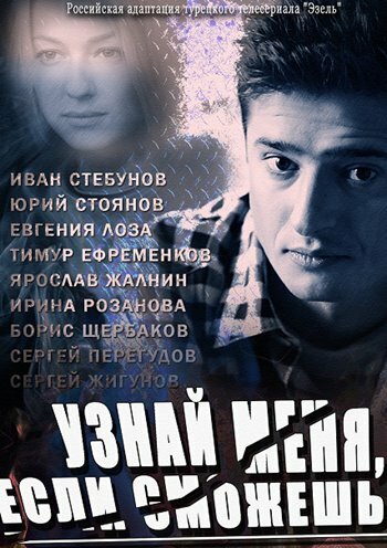 Узнай меня, если сможешь (2014) постер